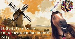 El Quijote a Lomo de la novia de Rocinante, Rosy