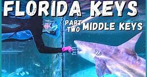 🦈🏝️ Ultimate Florida Keys Road Trip: Middle Keys What to See, Do and Eat! | Newstates in the States