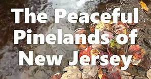 The Peaceful Pinelands of New Jersey