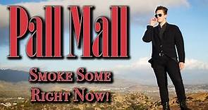 New PALL MALL Cigarette Commercial [2024]