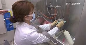 獨／直擊口罩檢驗中心！實驗室3檢測 細菌、病毒全把關