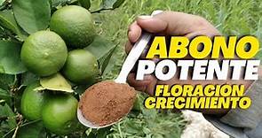 Mayor Floración y Crecimiento para tus cítricos | Abono Potente para tu limonero
