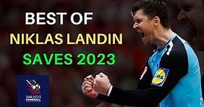 Best of Niklas Landin Saves POL/SWE 2023