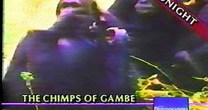 The Discovery Channel: "People of the Forest: The Chimps of Gombe" ad (1991)