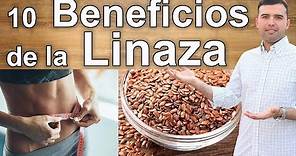 Para Que Sirve la Linaza – 10 Beneficios y Propriedades Que Debes Conocer