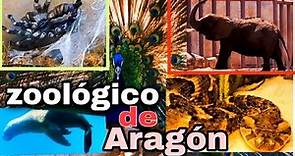 Como es el Zoológico de Aragón 🦒| #CDMX #2023