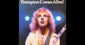 Peter Frampton 1976 Comes Alive I wanna go to the sun