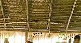 🇵🇪 Gastronomía y tradiciones en la fiesta de San Juan en Iquitos. Conoce en este video las tradiciones y la gastronomía de Iquitos que con la fiesta de San Juan se hacen más visible en esta importante fecha en el oriente nacional. #ContenidoAuspiciado | La República