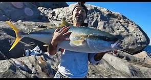 The Best Land Based Fishing for kingfish off the rocks