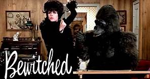 Serena Changes Darrin Into A Gorilla! | Bewitched