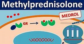 Methylprednisolone - Mechanism, side effects, precautions & uses