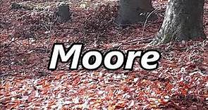 MOORE as a surname its meaning and origin