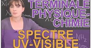 Spectre UV-visible - Physique-Chimie - Terminale - Les Bons Profs
