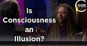 Jaron Lanier - Is Consciousness an Illusion?