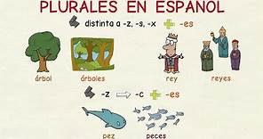 Aprender español: los plurales (nivel básico)