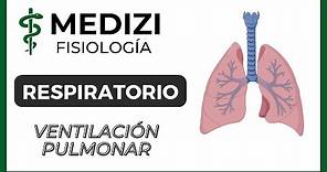 Clase 37 Fisiología Respiratoria - Ventilación Pulmonar (IG:@doctor.paiva)