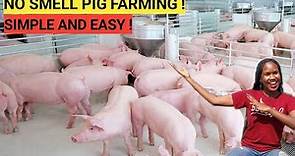 How To START A PIG FARM Business As A BEGINNER! ( DETAILED )| 2023