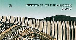 Birdsongs Of The Mesozoic - Faultline