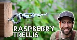 The BEST Raspberry Trellis - Can I recreate it?!