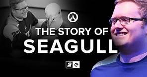 The Story of Seagull