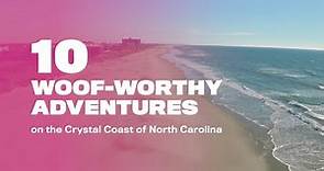 10 Dog-Friendly Adventures on the Crystal Coast of North Carolina