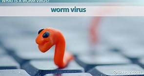 What is a Worm Virus? - Definition, Examples & Removal Tools