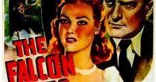 El Halcón inicia el vuelo (1942) Online - Película Completa en Español - FULLTV