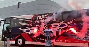 Les Ducs d'Angers en route vers la finale de la Coupe de France de Hockey sur Glace