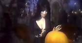Elvira’s MTV Halloween Special - 1984 🎃 #80s #mtv #elvira #television #retro #halloween #spookyseason | Retro Clips