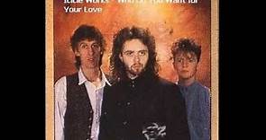Icicle Works - Who Do You Want for Your Love