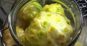 How to make Noni Juice the easy way Part 1 | Organic Hawaii