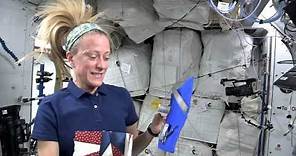 NASA Astronaut Karen Nyberg Invites Quilters to Create a Space Square