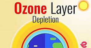 What Is The Ozone Layer? | Ozone Layer Depletion | Class 12 Biology | Extraclass.com