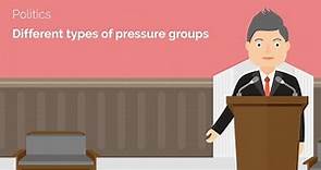 Different Types of Pressure Groups - A-Level Politics Revision Video - Study Rocket
