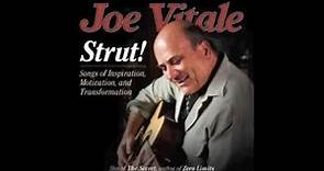 Today's The Day - Joe Vitale (from the new album Strut!)