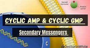 CYCLIC AMP AND CYCLIC GMP | SECONDARY MESSENGERS | cAMP & cGMP | EXPLANATION | HINGLISH