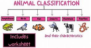Animal classification. Science for kids - My pals are here!