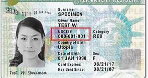 What is an Alien Registration Number and where do I find it?