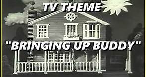 TV THEME - "BRINGING UP BUDDY"