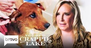 Luann de Lesseps and Sonja Morgan Visit The Animal Shelter | Welcome To Crappie Lake (S1 E5) | Bravo