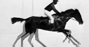 Eadweard Muybridge « El caballo en movimiento » ( 1887 )