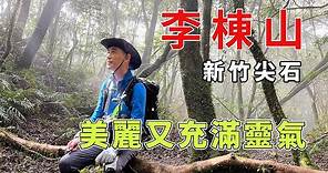 大混山縱走李棟山 隘勇線沿線遺址 李棟山古堡 美麗又充滿靈氣 沐浴在山林中