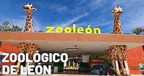 [4K] Recorriendo todo el Zoológico de León | Guanajuato