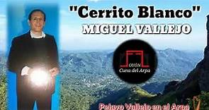 Cerrito Blanco - Miguel Vallejo & Pelayo Vallejo en el Arpa