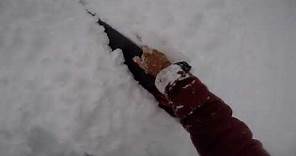 Dramatic Snowboarder Rescue Caught on GoPro Video in British Columbia