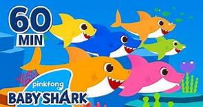 Baby Shark Doo Doo Doo 1 hour | +Compilation | Songs for Kids | Baby Shark Official