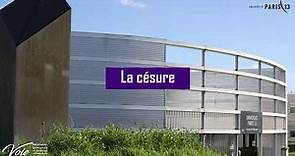 Le dispositif Césure - Université Sorbonne Paris Nord (USPN)