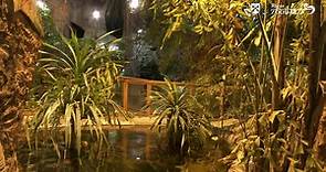 Riga Zoo - Tropical House