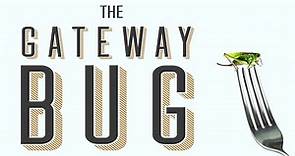 The Gateway Bug Trailer