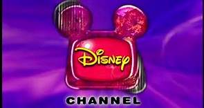 Stan Rogow Productions/Disney Channel (2001) #3